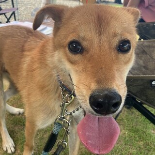 慎重派で優しい男の子『クリ』