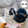 【2/15譲渡会】シエルちゃん(2匹一緒)