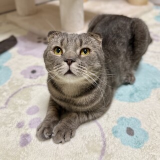 【お見合い歓迎】ホルン(ハンデはスペシャル)