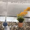 里親さんを探しています サムネイル3