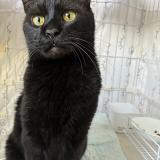 渋い顔立ちに甘い声　ギャップにやられる❤️