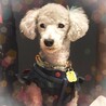 お気に入りの焼肉屋さんへ♪