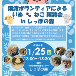 動物愛護センター主催☆いぬねこ譲渡会