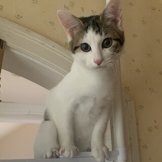 甘えん坊でお膝大好きな男の子♡