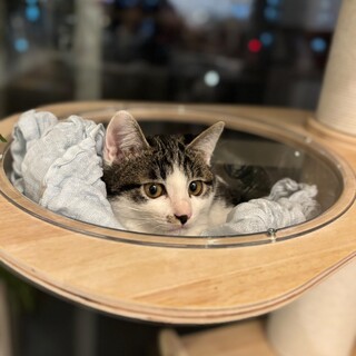 元気いっぱい猫好きなますくん