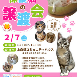 保護猫の譲渡会（横浜市旭区）