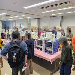 保護猫の譲渡会（横浜市旭区） サムネイル2