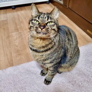 【お見合い歓迎】ユイちゃん