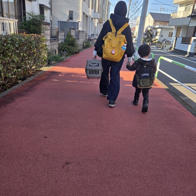 ちょぼんのカバー写真
