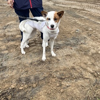 人が大好きアグレッシブ女子