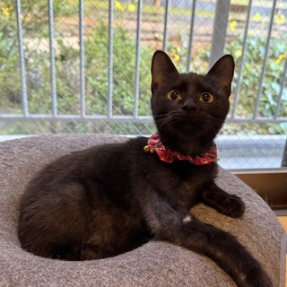 おっとりとした5ヶ月の女の子