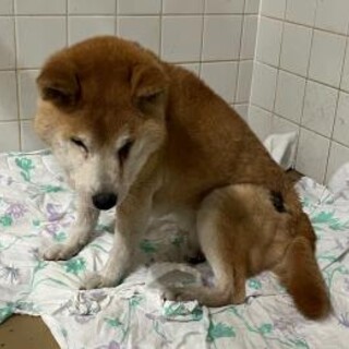 お迎えありました！