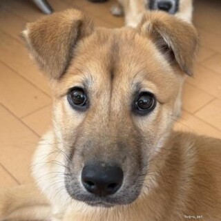 やんちゃな女の子♡エレナちゃん