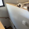 の写真