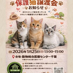 保護犬　猫の譲渡会 サムネイル2