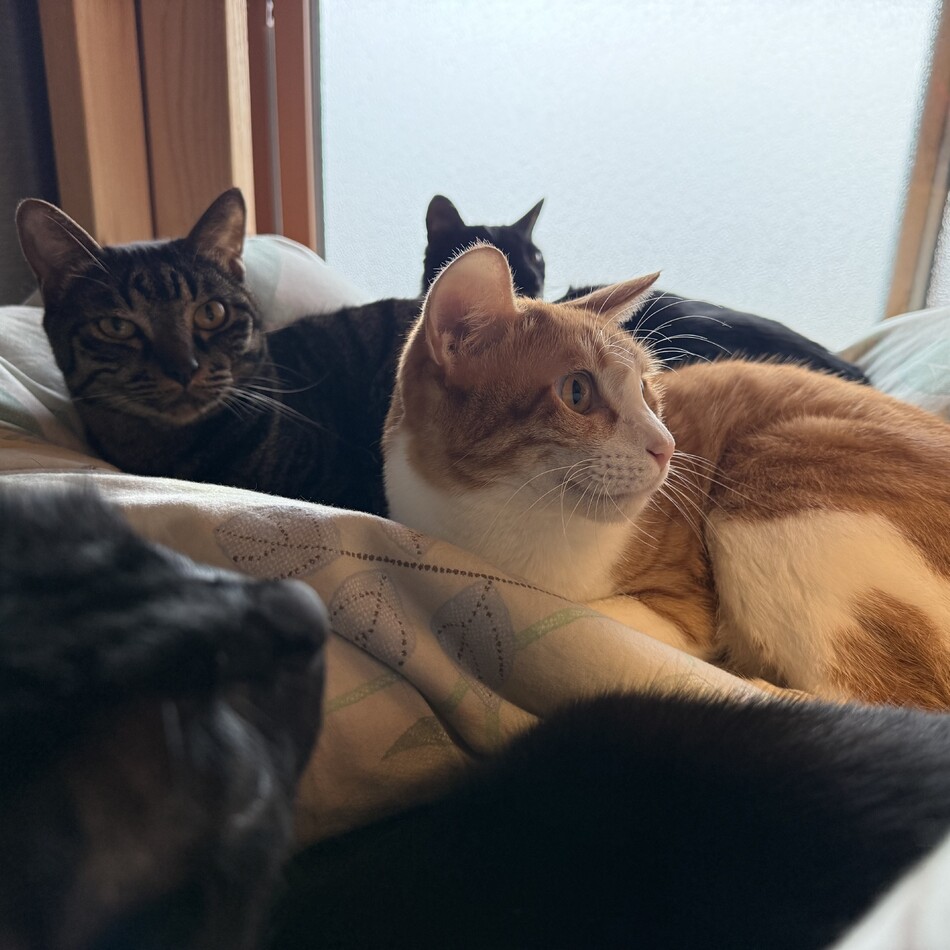 和田　公司のカバー写真