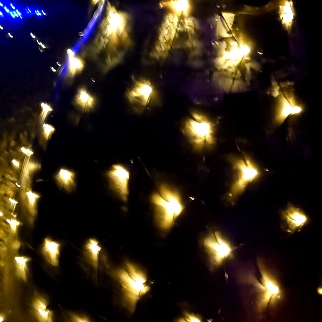 稲延のカバー写真