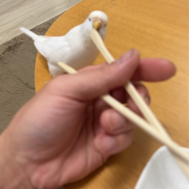 キチナガのカバー写真