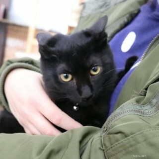 人馴れ抜群　ふゆちゃん