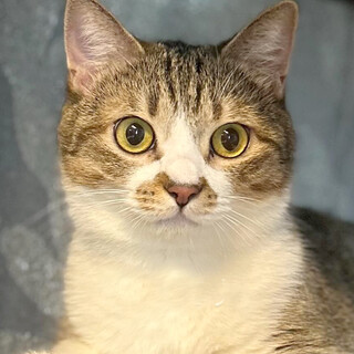 丸顔にまん丸お目々がかわいい❤️まる