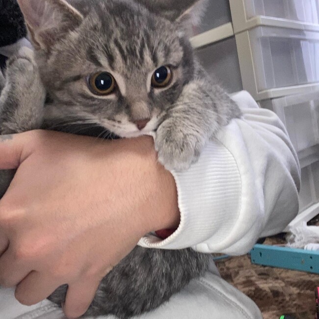 mayaya8466のカバー写真