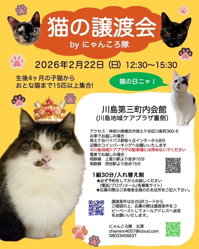 猫の譲渡会 by にゃん」（にゃんころ隊のイベント #28184