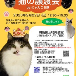 猫の譲渡会　by にゃんころ隊 2/22