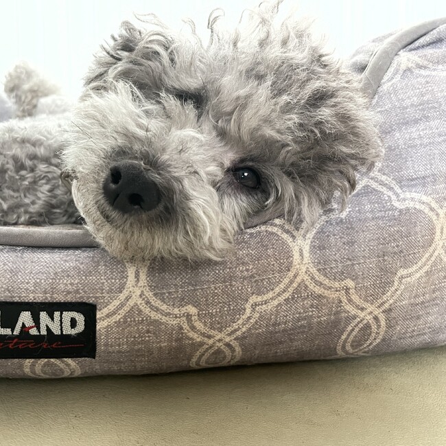 yutaro0103のカバー写真