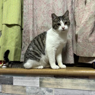 最初から人懐こくて好奇心旺盛ブランくん