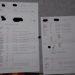 黒ちゃん、保護から2回目の病院