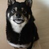 じゅっくん