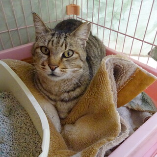 急募！極寒の外へリリースになります