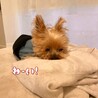 こむすび6