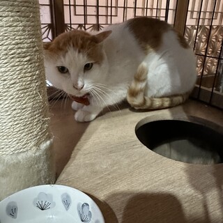 エイズ陽性　甘えん坊