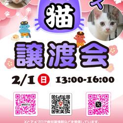 ほごねこ東京譲渡会＠尾久