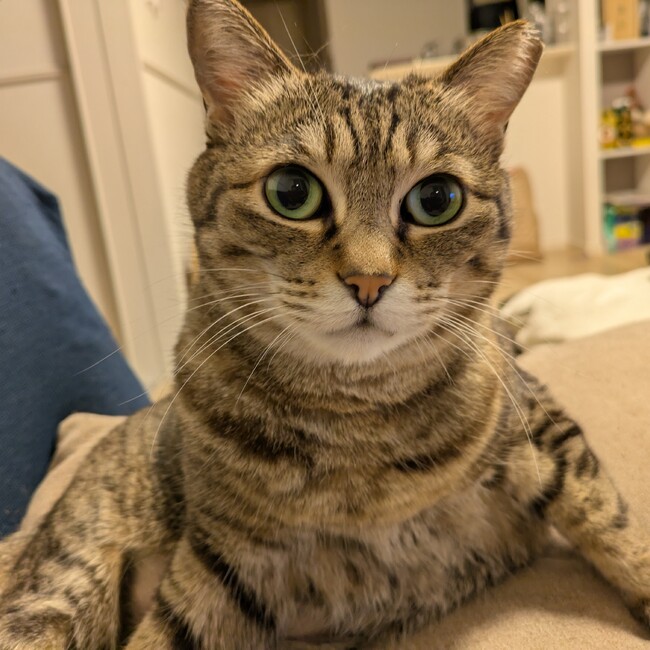 ☆かず★のカバー写真