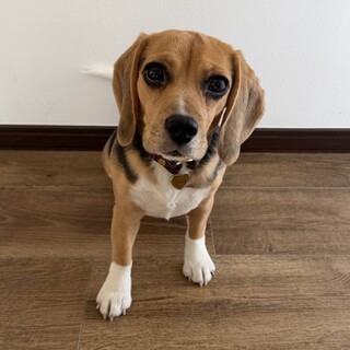 掲載終了します