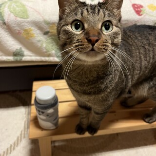 甘えん坊な男の子です！