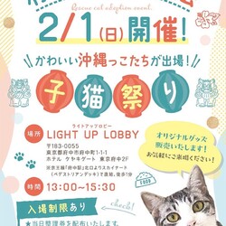 2/1(日)府中猫の会譲渡会