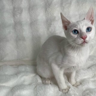 にるくん♂@約4ヶ月