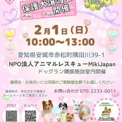 保護犬の譲渡会開催します