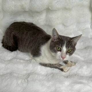 ムンタくん♂@約7ヶ月未満