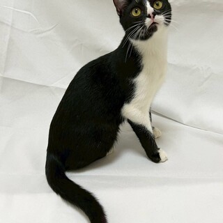 なぎくん♂@約7ヶ月未満