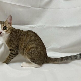 すあまくん♂@約7ヶ月