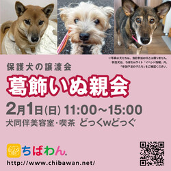 2月1日　ちばわん『葛飾いぬ親会』開催のご案内 サムネイル2