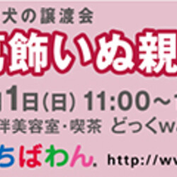 2月1日　ちばわん『葛飾いぬ親会』開催のご案内 サムネイル3