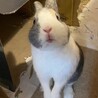 れおまるさん