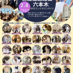 みなとねこ保護猫譲渡会＠SPOT六本木ミッドタウンサイド