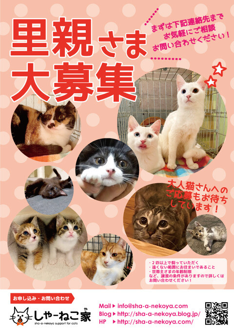 要予約・別日対応可】し」（シャーねこ家のイベント #28192