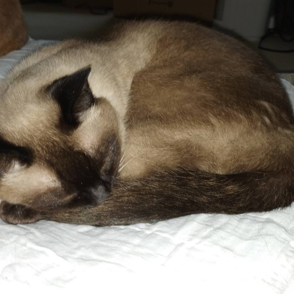 ぎゅうにゅうのカバー写真